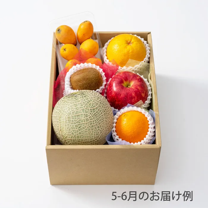 ホシフルーツ　おまかせ旬のフルーツBOX　CN