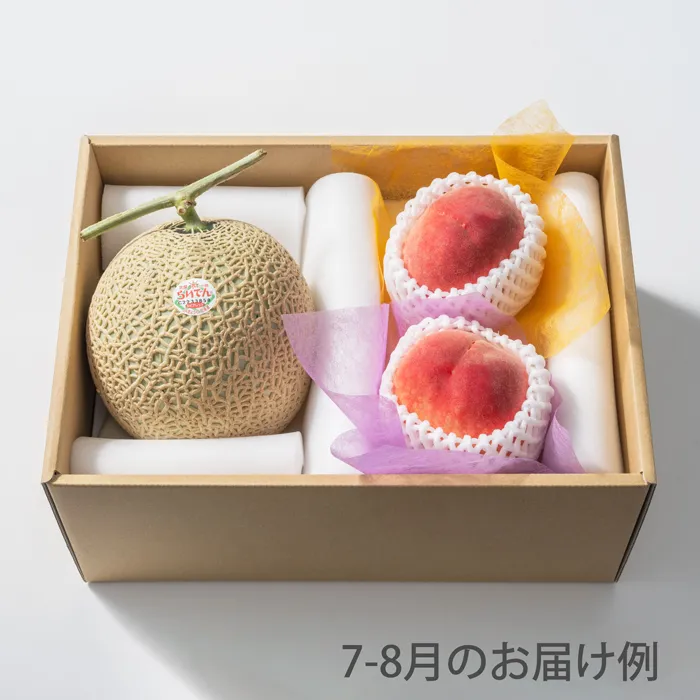 ホシフルーツ　おまかせ旬のフルーツBOX　CN
