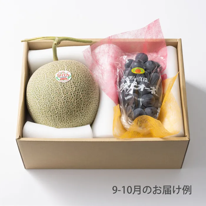 ホシフルーツ　おまかせ旬のフルーツBOX　CN