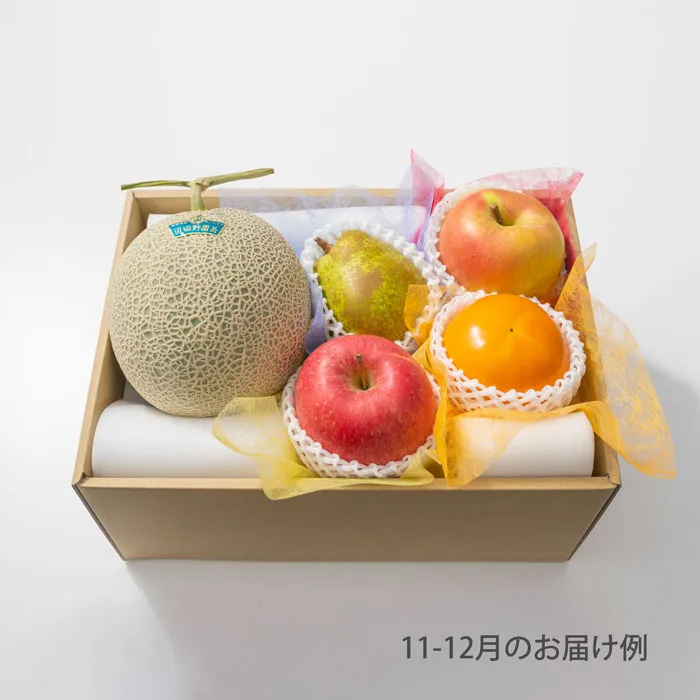 ホシフルーツ　おまかせ旬のフルーツBOX　CN