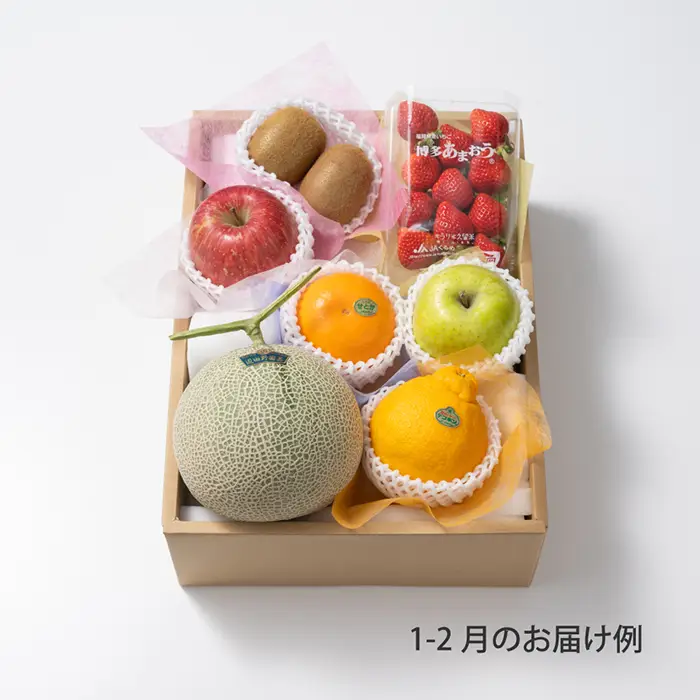 ホシフルーツ　おまかせ旬のフルーツBOX　DN