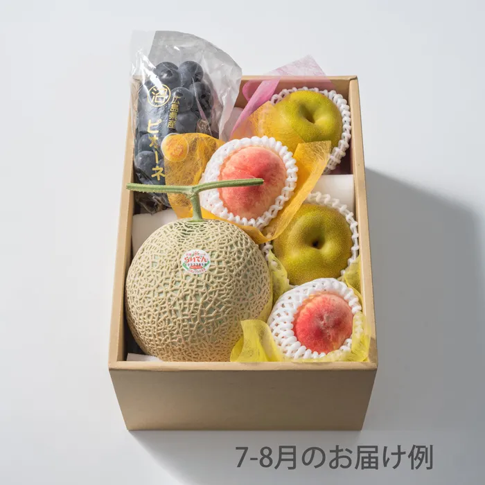ホシフルーツ　おまかせ旬のフルーツBOX　DN