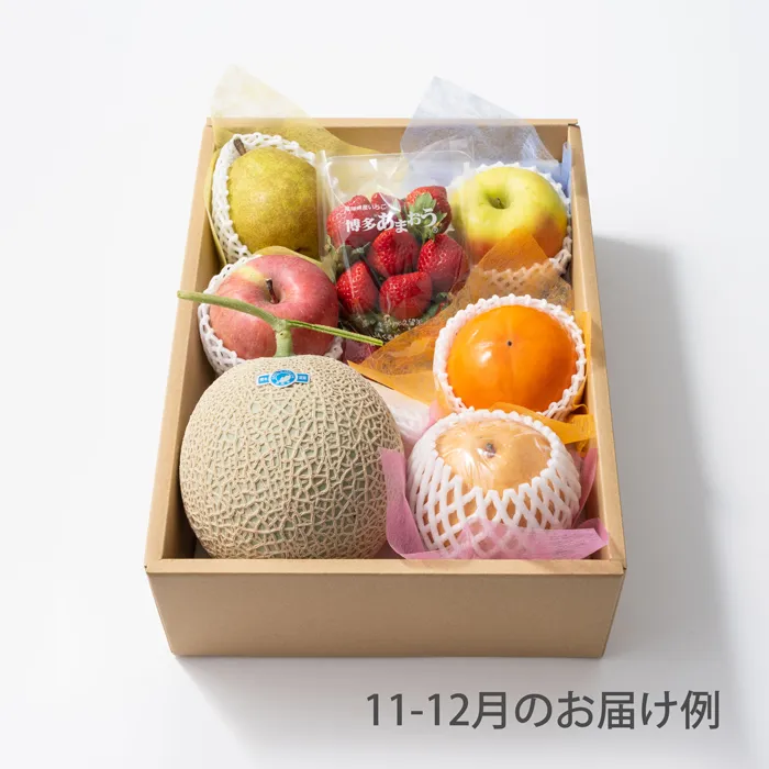 ホシフルーツ　おまかせ旬のフルーツBOX　DN