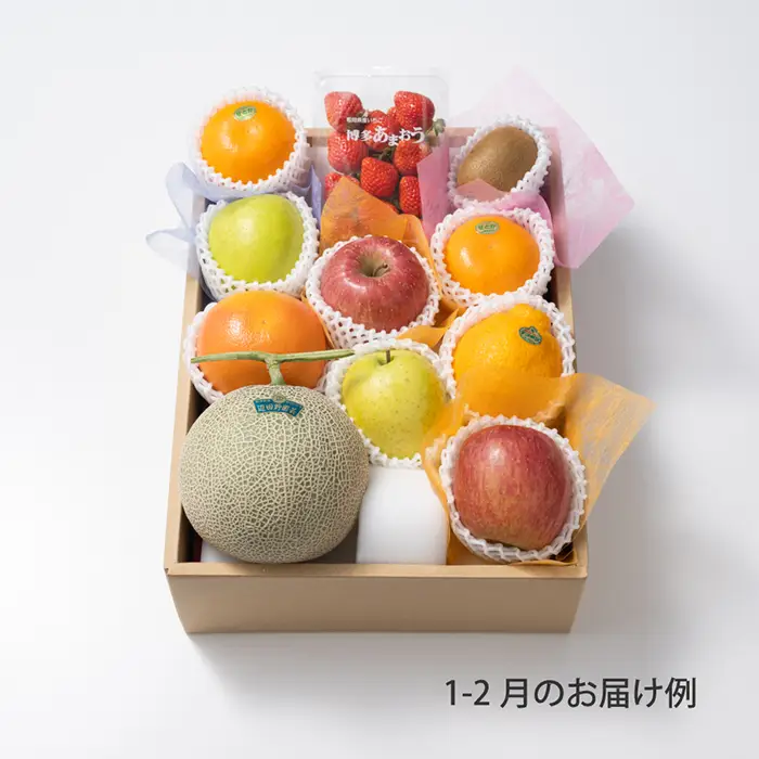 ホシフルーツ　おまかせ旬のフルーツBOX　EN