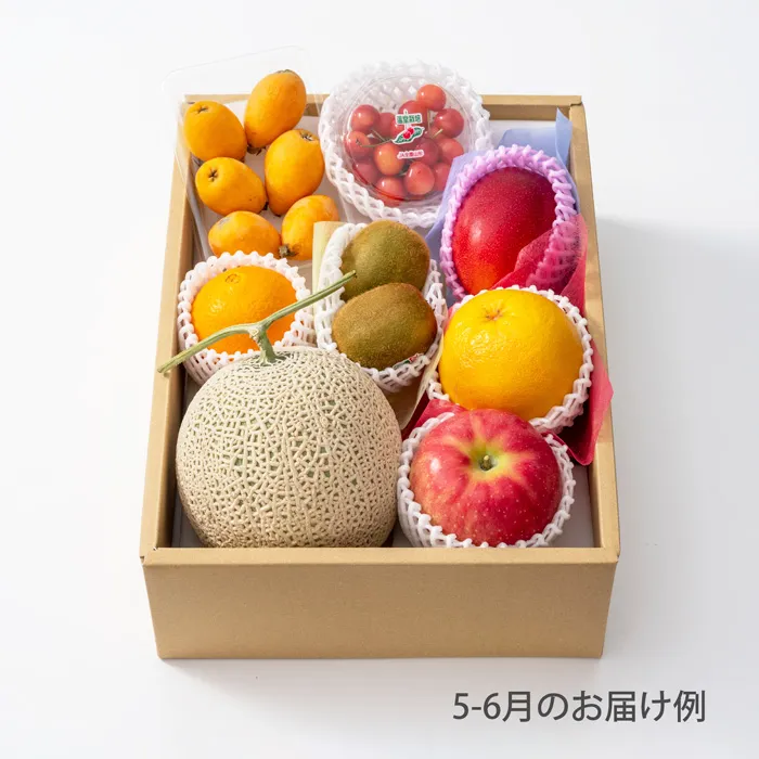 ホシフルーツ　おまかせ旬のフルーツBOX　EN