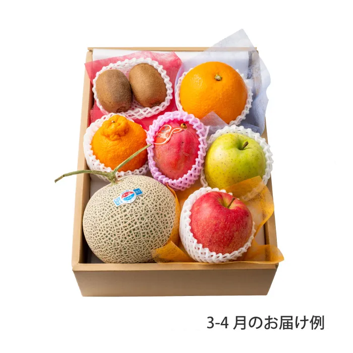 ホシフルーツ　おまかせ旬のフルーツＢＯＸ　ＤＮ