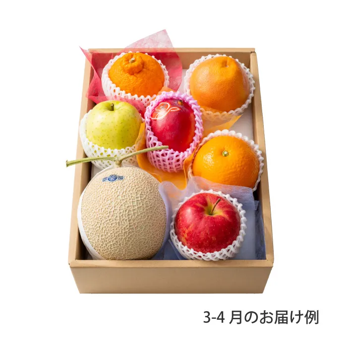 ホシフルーツ　おまかせ旬のフルーツＢＯＸ　ＥＮ