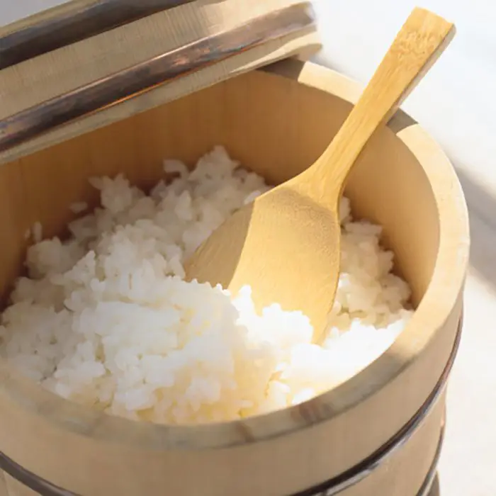 雪温精法　熊本県産　森のくまさん４㎏