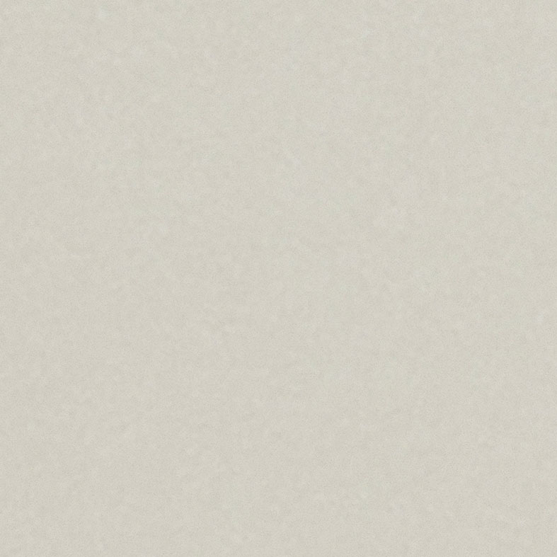 FX　V　3620(シャインベージュ)