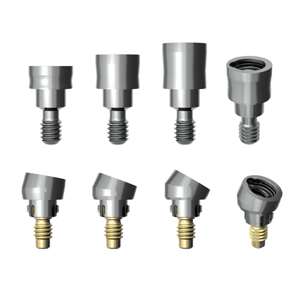 アクセス アバットメント