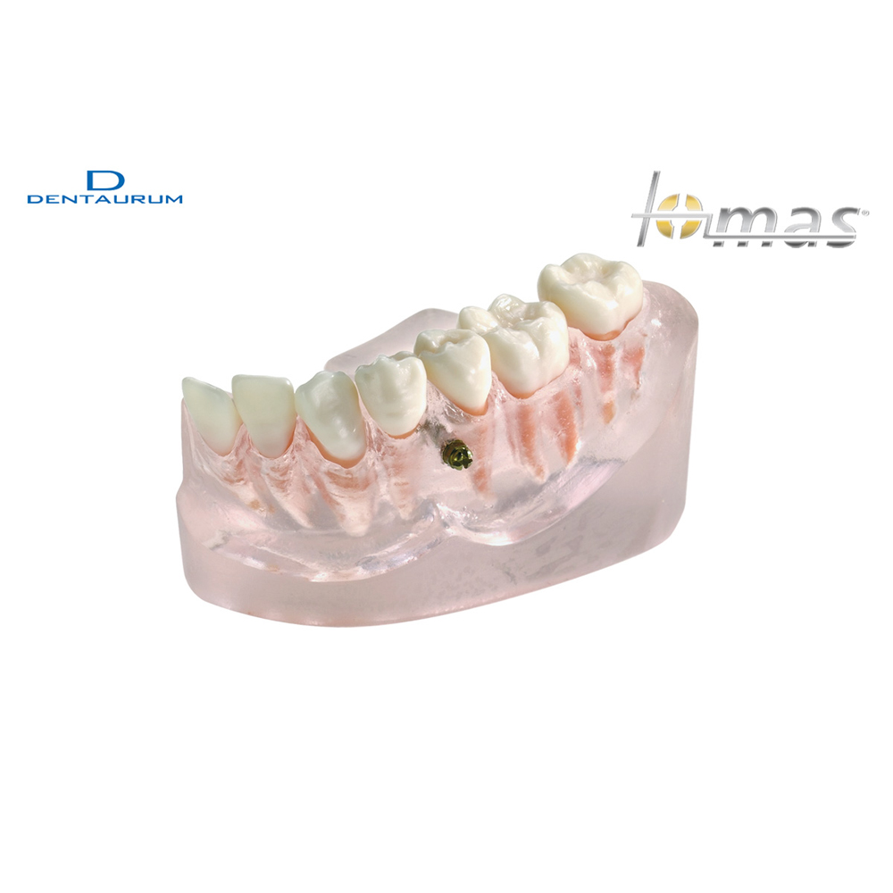 トーマスカウンセリングツール