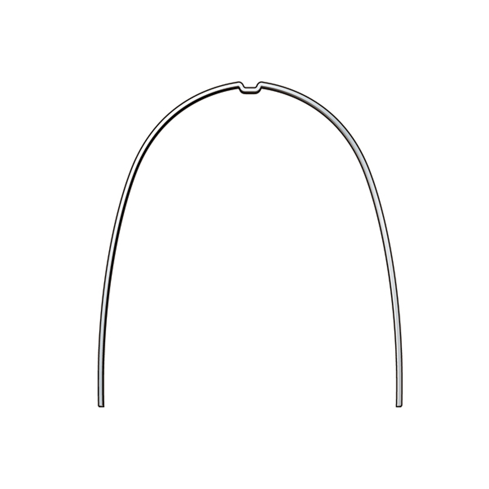 レマタイタンライト アーチワイヤー/レクタンギュラー