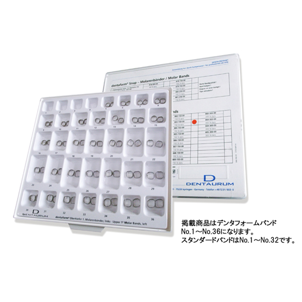 スタンダードバンド 小臼歯アソートメント