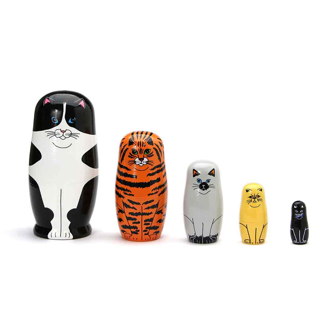 Feline 5
