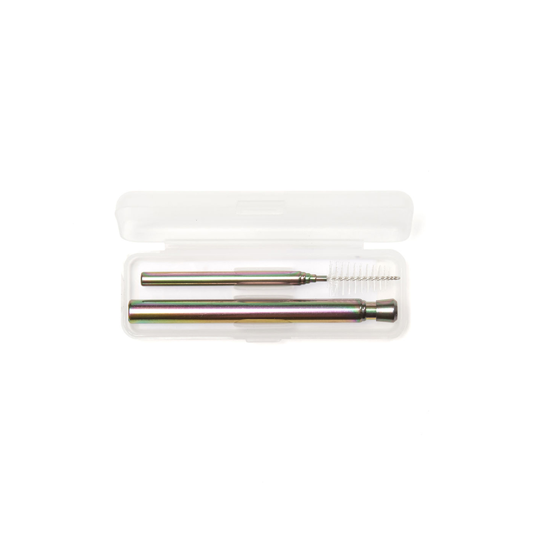 Iridescent Travel Straw Set