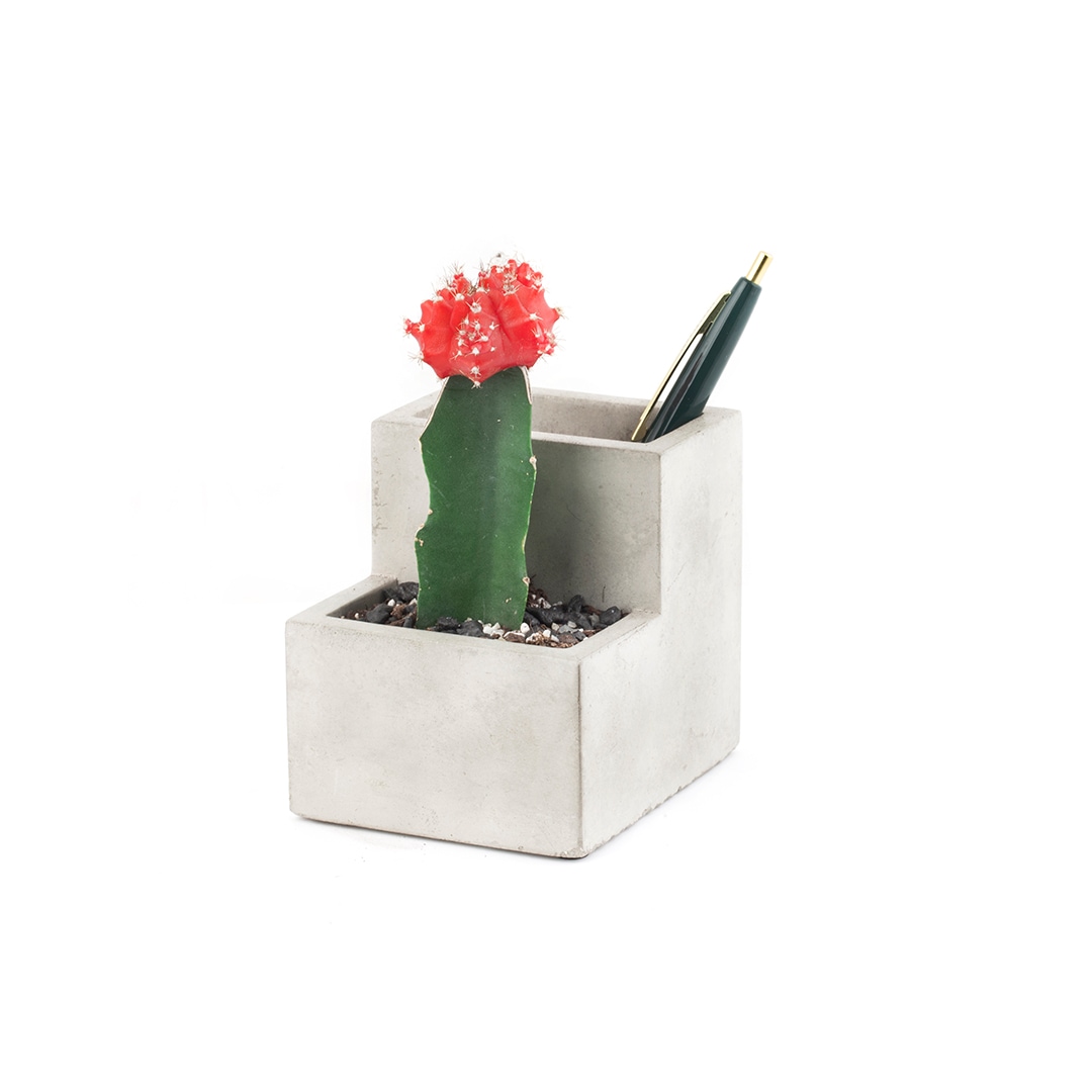 Concrete Desktop Planter "S"