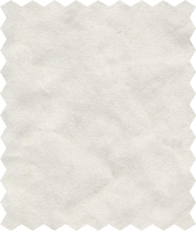 Bone