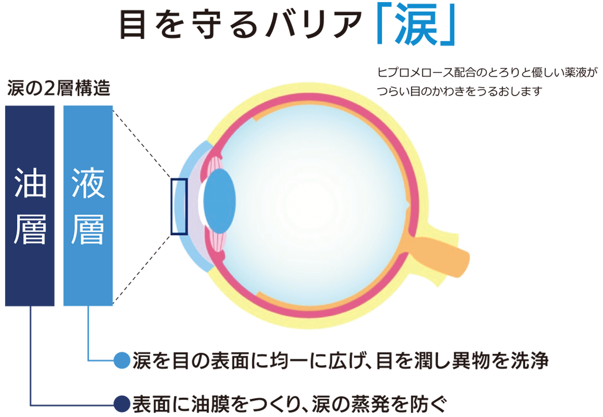 目を守るバリア「涙」
