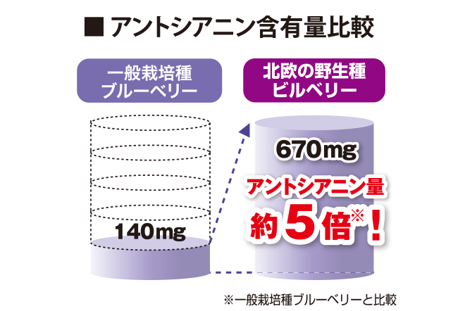 アントシアニンが約５倍