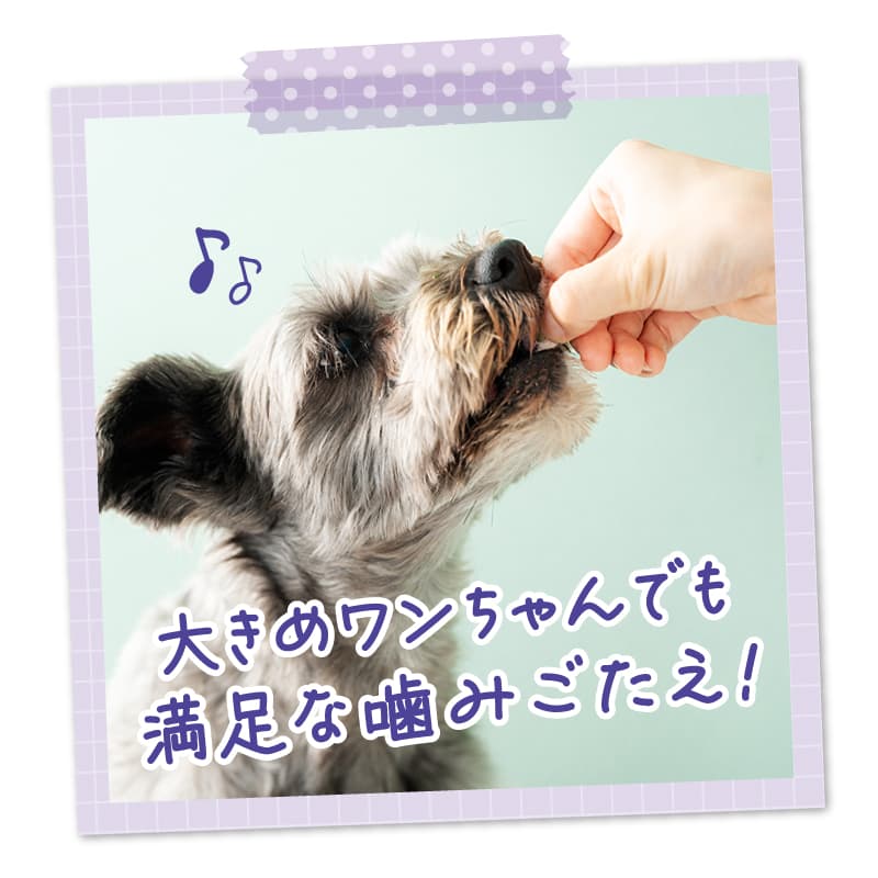 人間でも食べられる素材のみを使用