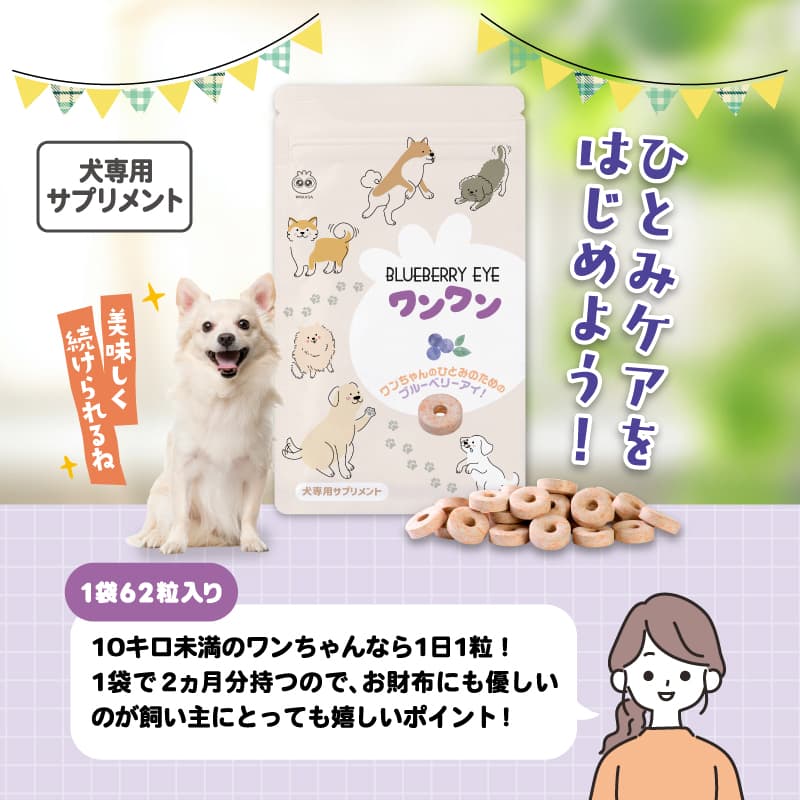 1日の給与目安量