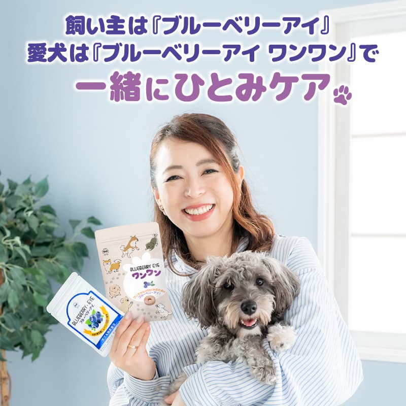 1日の給与目安量