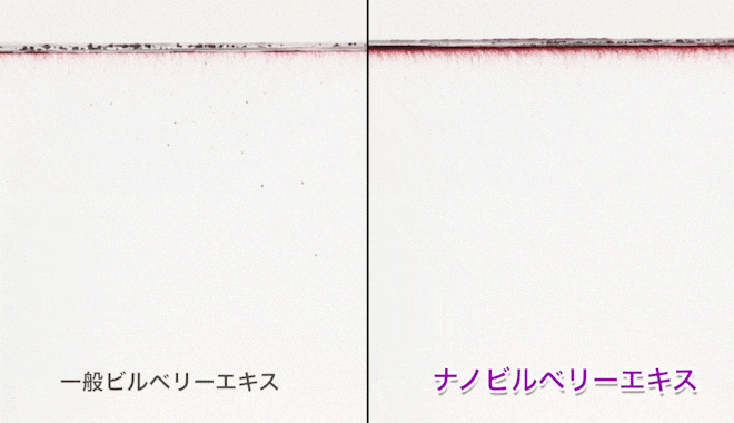 ナノビルベリーエキスが水に溶けている様子