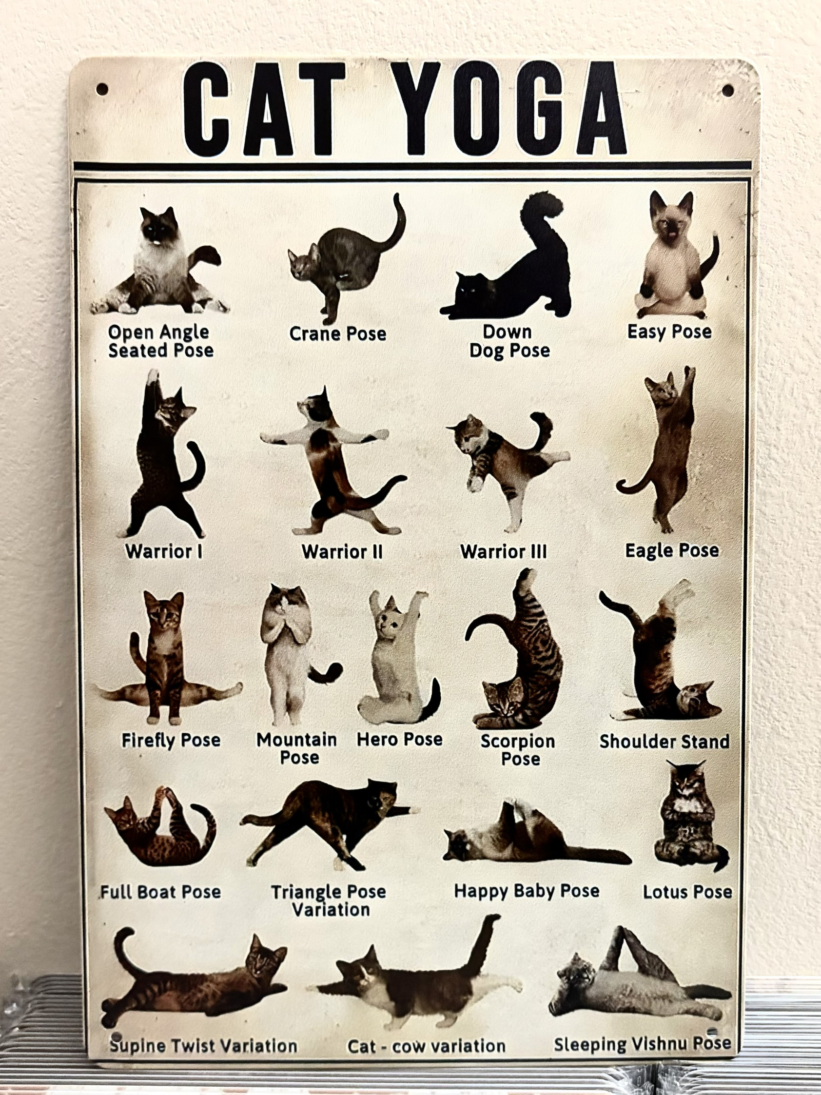 CAT YOGA 看板 ブリキ看板 インテリア ディスプレイ レトロ  アメリカン雑貨