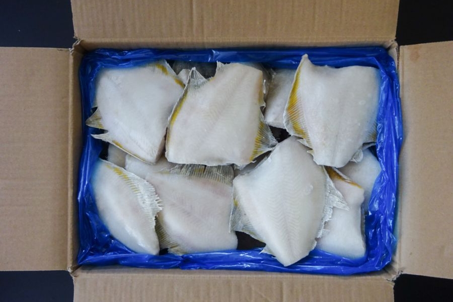 黄金カレイ　バラ/(40枚)　ｱﾒﾘｶ