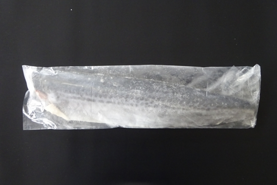 サワラフィレ　400/600ｇ　中国