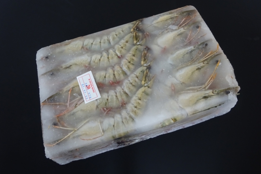 有頭BT(養殖)　20尾　ﾍﾞﾄﾅﾑ・他