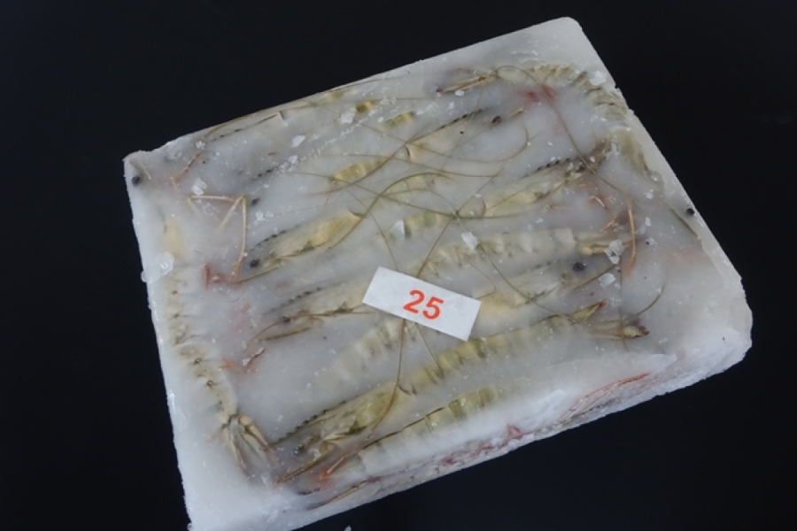 有頭BT(養殖)　25尾　ﾍﾞﾄﾅﾑ・他