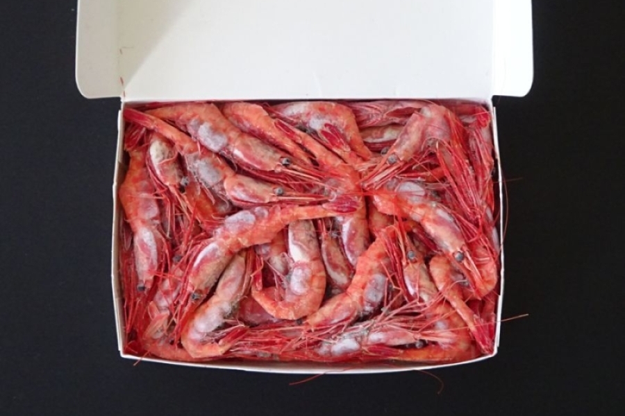 有頭甘エビ　LA/1kg　ﾛｼｱ