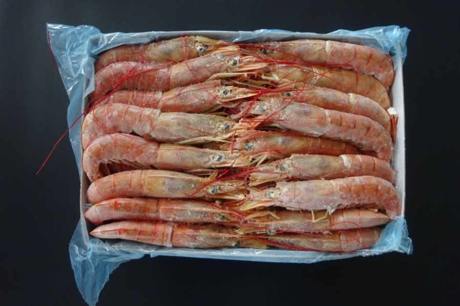 有頭赤エビ(L3) 30/40 2kg　ｱﾙｾﾞﾝﾁﾝ