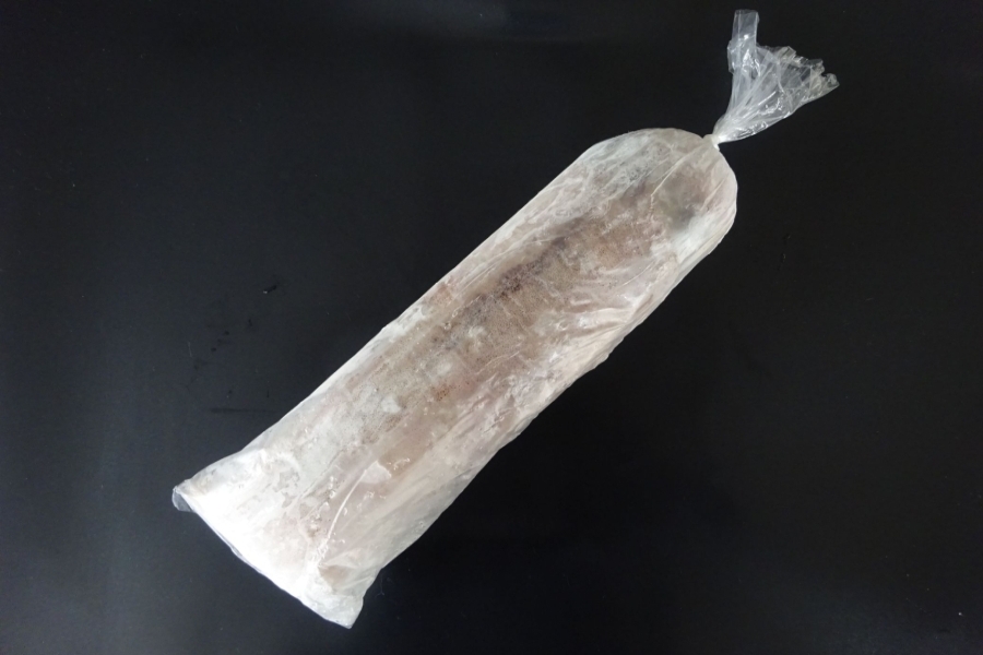 アオリイカ R/IQF 1000/1500g
