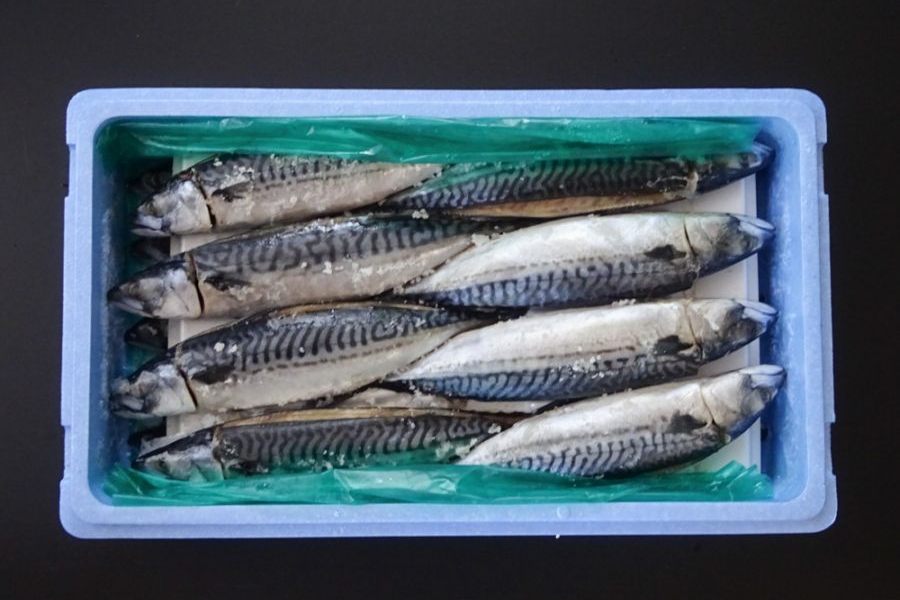塩サバ　(原)　18尾　ﾉﾙｳｪｰ