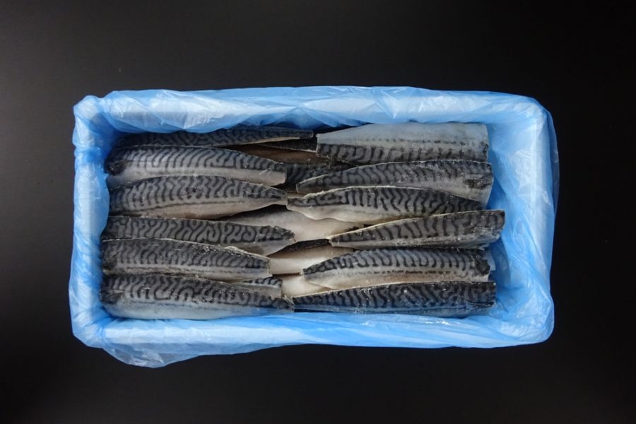 塩サバフィレ　40入　ﾉﾙｳｪｰ