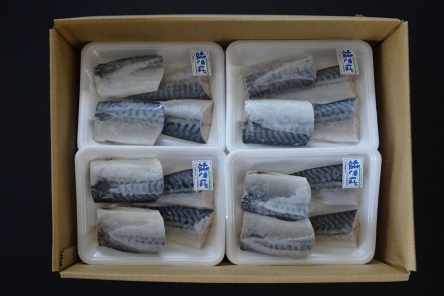 塩サバ切身　20g　ﾉﾙｳｪｰ