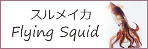 スルメイカ