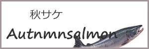 秋サケ