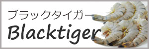ブラックタイガー
