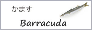 カマス