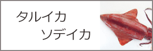 タルイカ