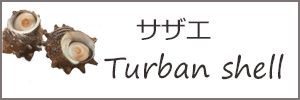 サザエ