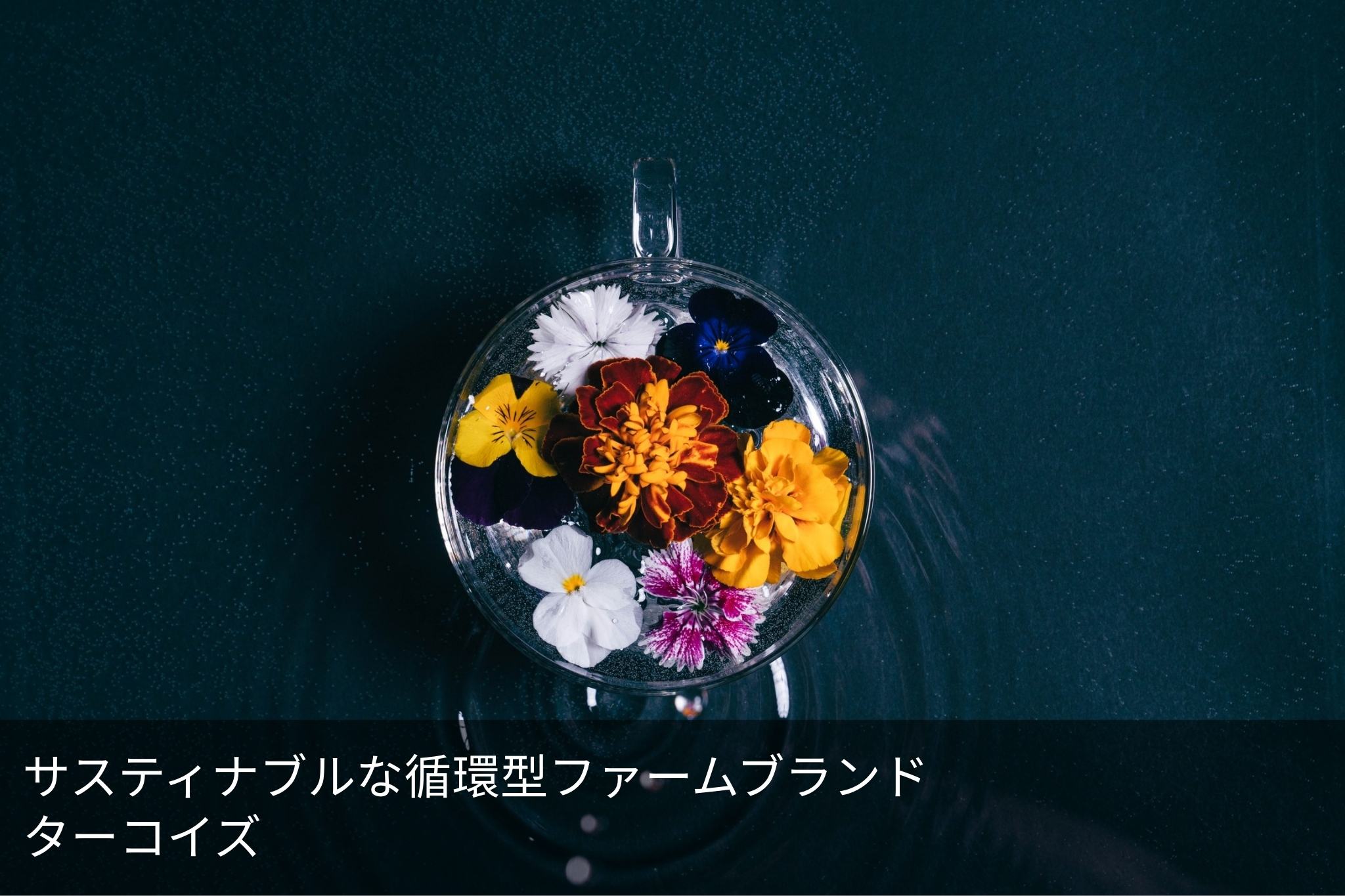 ターコイズ