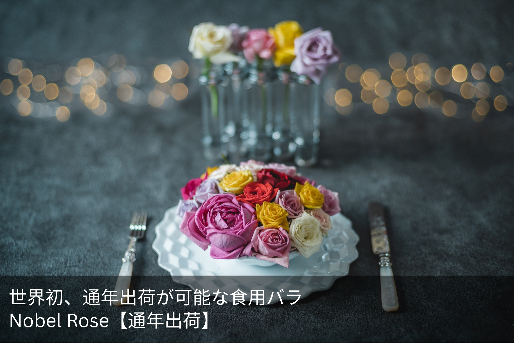 Nobel Rose【通年出荷】