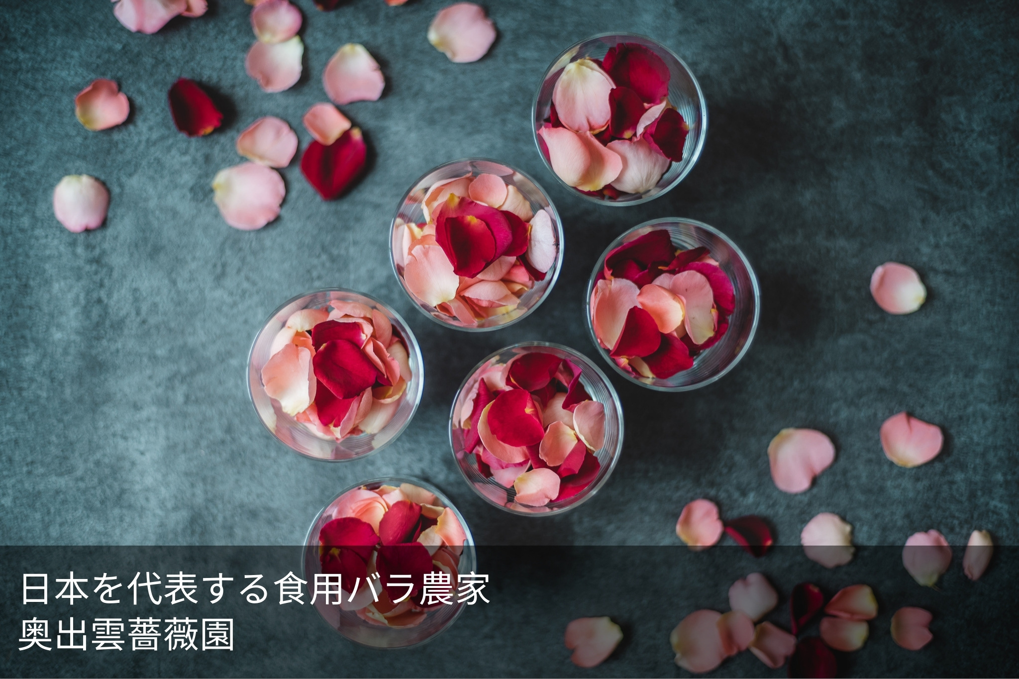奥出雲薔薇園