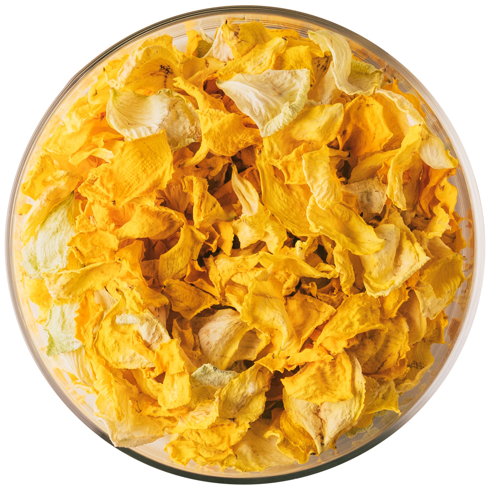 NICO ROSE / 【B品】ドライ 花びらイエロー 25g