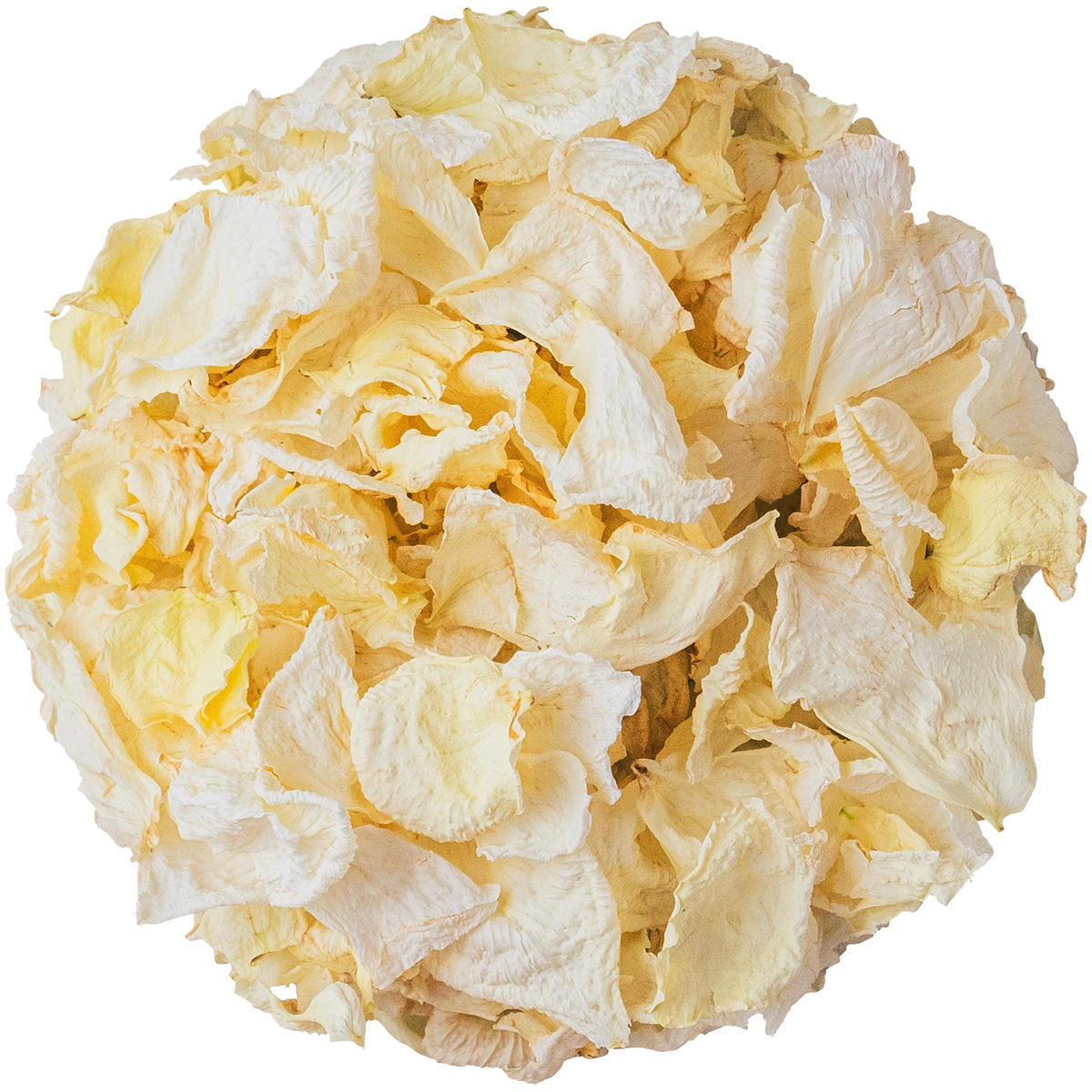 NICO ROSE / 【B品】ドライ 花びらホワイト 25g