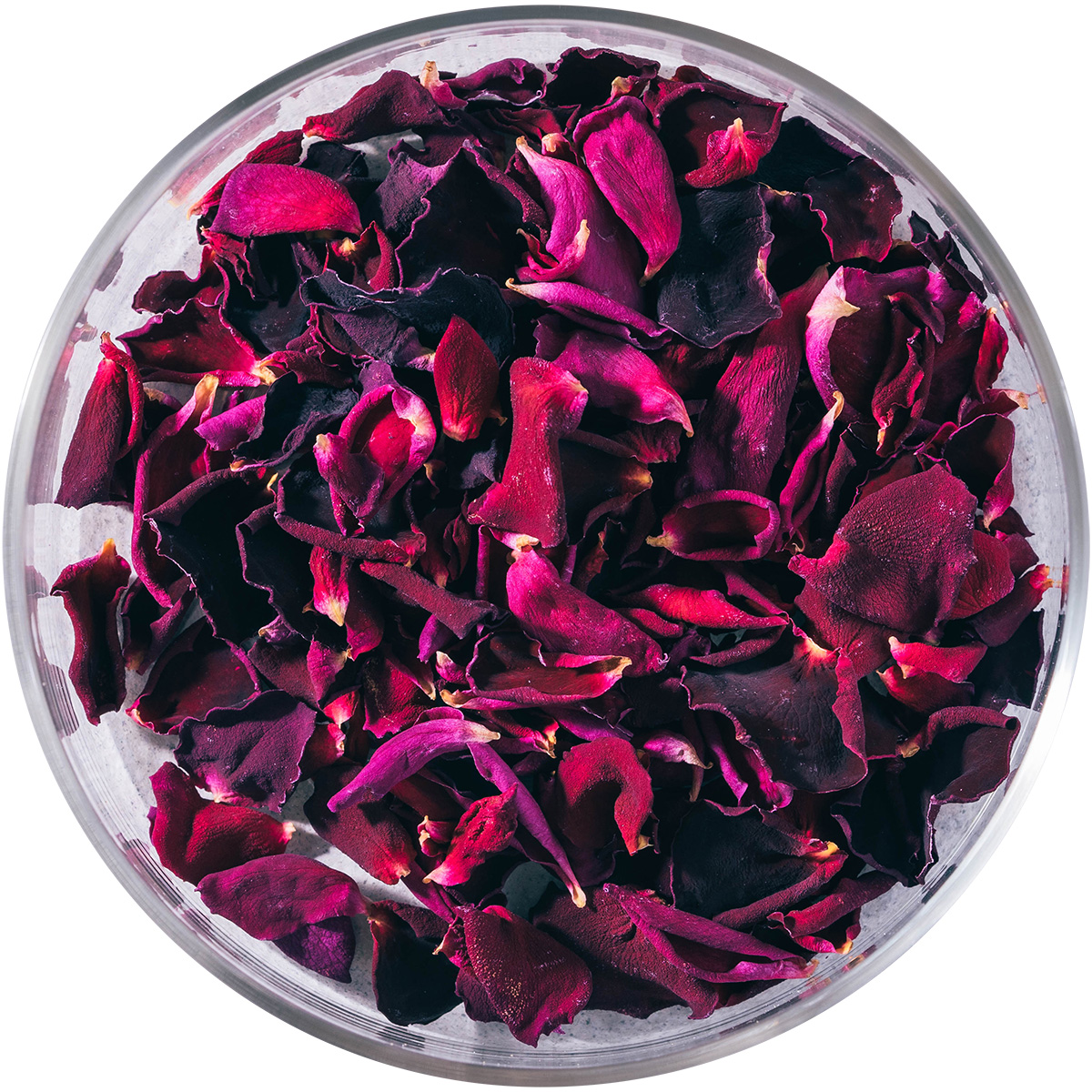 Nobel Rose / ドライ 大輪レッド《ルージュロワイヤル》10g